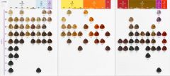 Tinte Gamma Mix 100 ml. Erayba