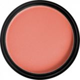 Blush Armony Fitoenriquecido Mejillas Nº 81 Palo R